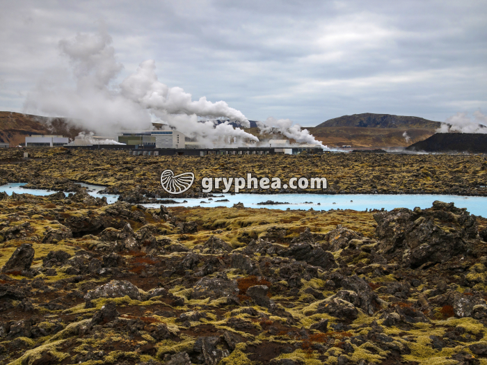 Géothermie (Islande) - gryphea.com